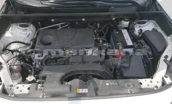 Buy Used Toyota RAV4 White Car in Honi in Imereti Buy Used Toyota RAV4 White Car in Honi in Imereti