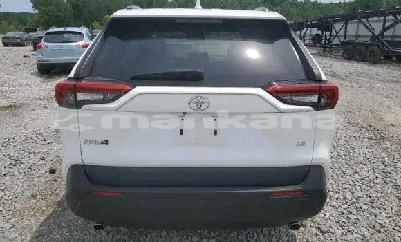 Buy Used Toyota RAV4 White Car in Honi in Imereti Buy Used Toyota RAV4 White Car in Honi in Imereti