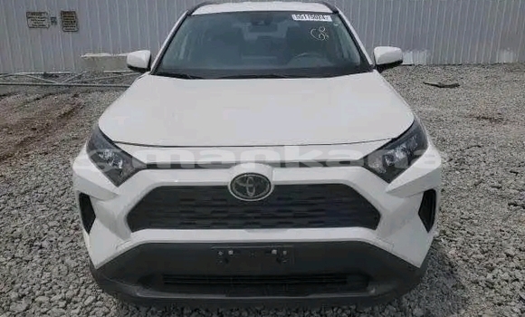 Buy Used Toyota RAV4 White Car in Honi in Imereti Buy Used Toyota RAV4 White Car in Honi in Imereti