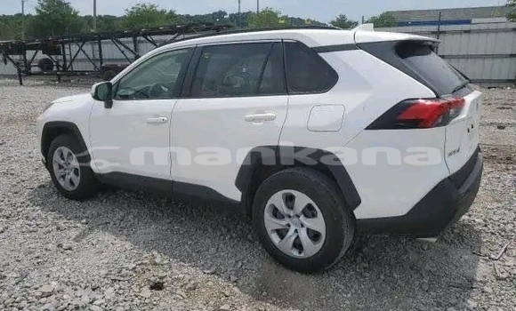 Buy Used Toyota RAV4 White Car in Honi in Imereti Buy Used Toyota RAV4 White Car in Honi in Imereti