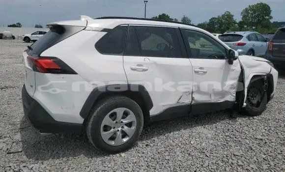 Buy Used Toyota RAV4 White Car in Honi in Imereti Buy Used Toyota RAV4 White Car in Honi in Imereti