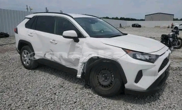 Buy Used Toyota RAV4 White Car in Honi in Imereti Buy Used Toyota RAV4 White Car in Honi in Imereti