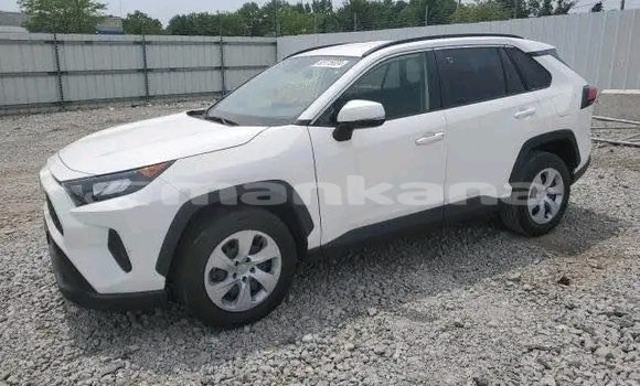 Buy Used Toyota RAV4 White Car in Honi in Imereti Buy Used Toyota RAV4 White Car in Honi in Imereti