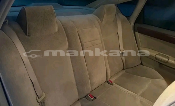 Buy Used Nissan Fuga Other Car in Kvareli in Kaheti Buy Used Nissan Fuga Other Car in Kvareli in Kaheti