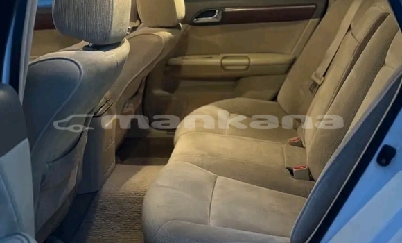 Buy Used Nissan Fuga Other Car in Kvareli in Kaheti Buy Used Nissan Fuga Other Car in Kvareli in Kaheti