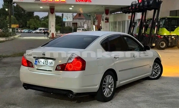 Buy Used Nissan Fuga Other Car in Kvareli in Kaheti Buy Used Nissan Fuga Other Car in Kvareli in Kaheti