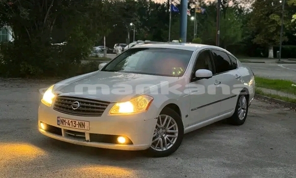 Buy Used Nissan Fuga Other Car in Kvareli in Kaheti Buy Used Nissan Fuga Other Car in Kvareli in Kaheti