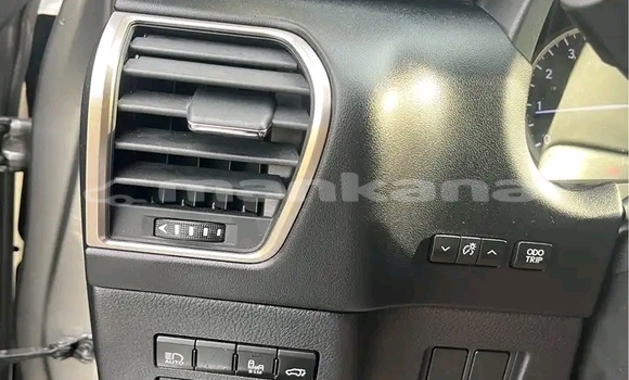 Buy Used Lexus NX Other Car in Gali in Abhasia