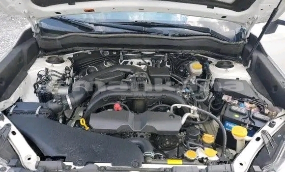 Buy Used Subaru Forester White Car in Bihvinta in Abhasia Buy Used Subaru Forester White Car in Bihvinta in Abhasia