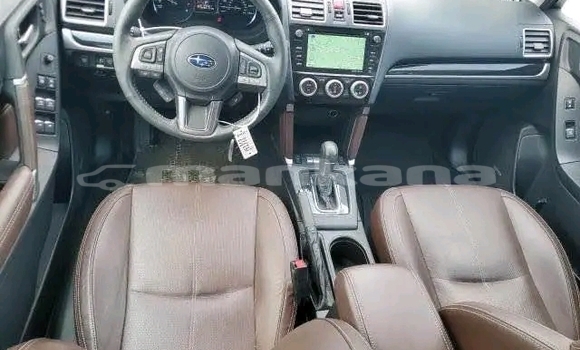 Buy Used Subaru Forester White Car in Bihvinta in Abhasia Buy Used Subaru Forester White Car in Bihvinta in Abhasia