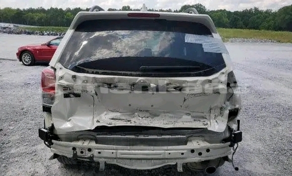 Buy Used Subaru Forester White Car in Bihvinta in Abhasia Buy Used Subaru Forester White Car in Bihvinta in Abhasia