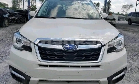 Buy Used Subaru Forester White Car in Bihvinta in Abhasia Buy Used Subaru Forester White Car in Bihvinta in Abhasia