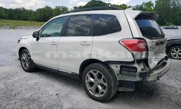 Buy Used Subaru Forester White Car in Bihvinta in Abhasia Buy Used Subaru Forester White Car in Bihvinta in Abhasia