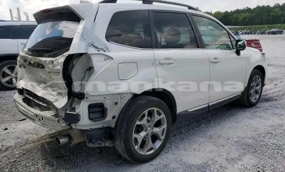 Buy Used Subaru Forester White Car in Bihvinta in Abhasia Buy Used Subaru Forester White Car in Bihvinta in Abhasia