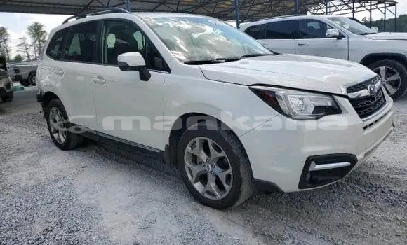 Buy Used Subaru Forester White Car in Bihvinta in Abhasia Buy Used Subaru Forester White Car in Bihvinta in Abhasia