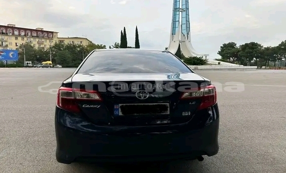 Buy Used Toyota Camry Other Car in Gagra in Abhasia Buy Used Toyota Camry Other Car in Gagra in Abhasia