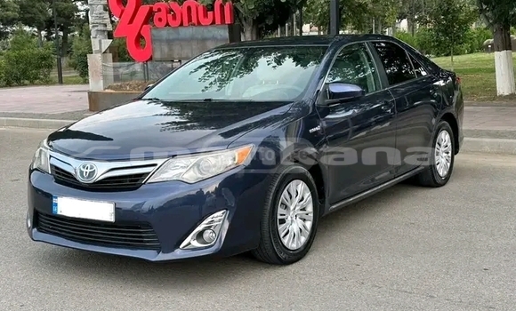 Buy Used Toyota Camry Other Car in Gagra in Abhasia Buy Used Toyota Camry Other Car in Gagra in Abhasia