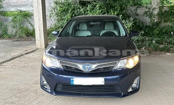 Buy Used Toyota Camry Other Car in Gagra in Abhasia Buy Used Toyota Camry Other Car in Gagra in Abhasia
