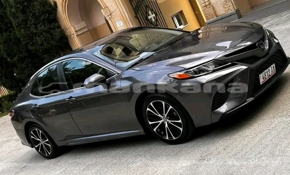 Buy Used Toyota Camry Other Car in Bihvinta in Abhasia Buy Used Toyota Camry Other Car in Bihvinta in Abhasia