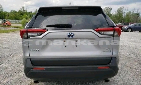 Buy Used Toyota RAV4 Other Car in Dioknisi in Ajaria Buy Used Toyota RAV4 Other Car in Dioknisi in Ajaria