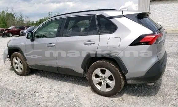 Buy Used Toyota RAV4 Other Car in Dioknisi in Ajaria Buy Used Toyota RAV4 Other Car in Dioknisi in Ajaria