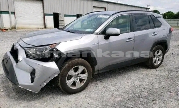Buy Used Toyota RAV4 Other Car in Dioknisi in Ajaria Buy Used Toyota RAV4 Other Car in Dioknisi in Ajaria
