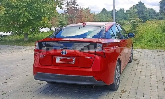 Buy Used Toyota Prius Red Car in Bihvinta in Abhasia Buy Used Toyota Prius Red Car in Bihvinta in Abhasia