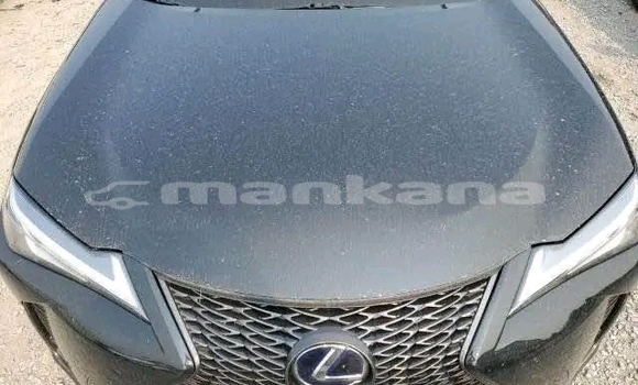 Buy Used Lexus LC Black Car in Gurdzhaani in Kaheti