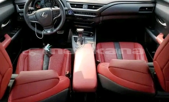 Buy Used Lexus LC Black Car in Gurdzhaani in Kaheti Buy Used Lexus LC Black Car in Gurdzhaani in Kaheti