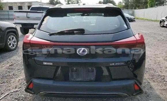 Buy Used Lexus LC Black Car in Gurdzhaani in Kaheti Buy Used Lexus LC Black Car in Gurdzhaani in Kaheti