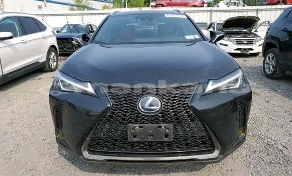 Buy Used Lexus LC Black Car in Gurdzhaani in Kaheti Buy Used Lexus LC Black Car in Gurdzhaani in Kaheti