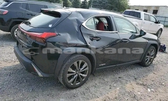 Buy Used Lexus LC Black Car in Gurdzhaani in Kaheti Buy Used Lexus LC Black Car in Gurdzhaani in Kaheti