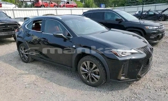 Buy Used Lexus LC Black Car in Gurdzhaani in Kaheti Buy Used Lexus LC Black Car in Gurdzhaani in Kaheti