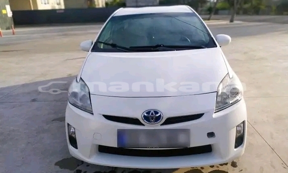 Buy Used Toyota Prius White Car in Dedoplisckaro in Kaheti Buy Used Toyota Prius White Car in Dedoplisckaro in Kaheti