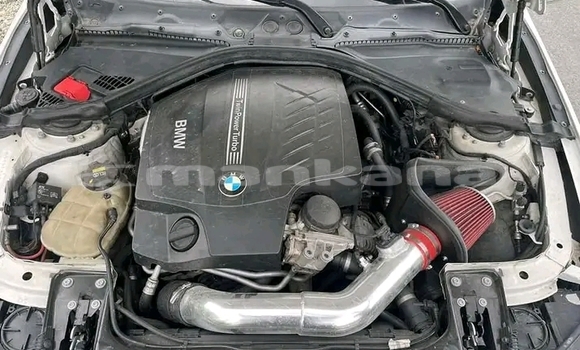 Buy Used BMW 502 White Car in Cnori in Kaheti Buy Used BMW 502 White Car in Cnori in Kaheti