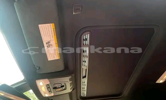 Buy Used BMW 502 White Car in Cnori in Kaheti Buy Used BMW 502 White Car in Cnori in Kaheti