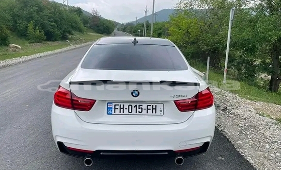 Buy Used BMW 502 White Car in Cnori in Kaheti Buy Used BMW 502 White Car in Cnori in Kaheti