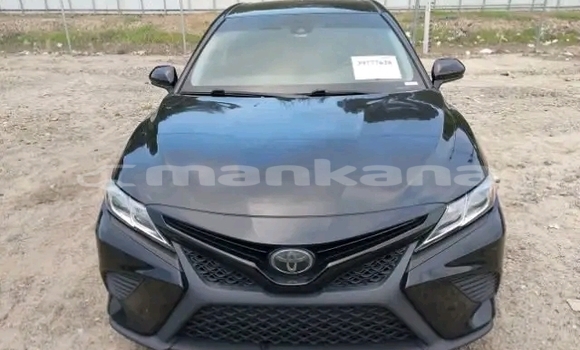 Buy Used Toyota Camry Black Car in Gudauta in Abhasia Buy Used Toyota Camry Black Car in Gudauta in Abhasia
