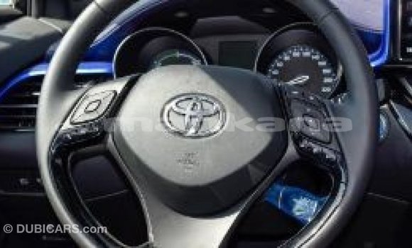 Buy Import Toyota C-HR Other Car in Import - Dubai in Abhasia Buy Import Toyota C-HR Other Car in Import - Dubai in Abhasia