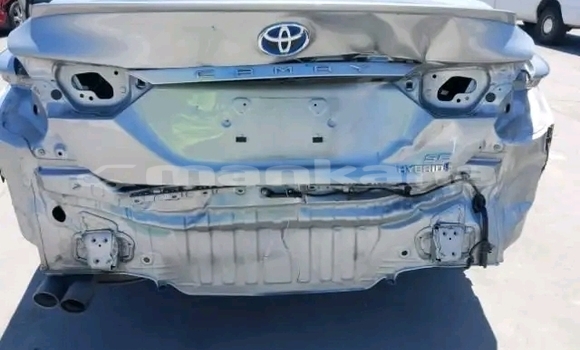 Buy Used Toyota Camry Other Car in Bihvinta in Abhasia Buy Used Toyota Camry Other Car in Bihvinta in Abhasia