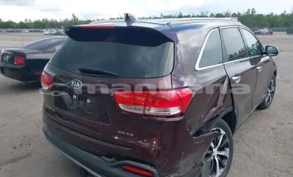 Buy Used Kia Sorento Red Car in Gulripshi in Abhasia Buy Used Kia Sorento Red Car in Gulripshi in Abhasia