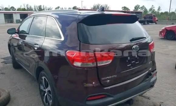 Buy Used Kia Sorento Red Car in Gulripshi in Abhasia Buy Used Kia Sorento Red Car in Gulripshi in Abhasia