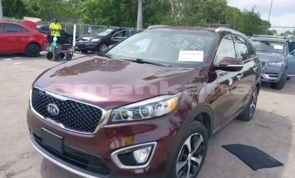 Buy Used Kia Sorento Red Car in Gulripshi in Abhasia Buy Used Kia Sorento Red Car in Gulripshi in Abhasia