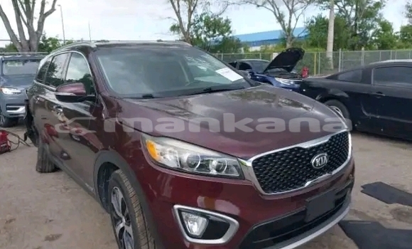 Buy Used Kia Sorento Red Car in Gulripshi in Abhasia Buy Used Kia Sorento Red Car in Gulripshi in Abhasia