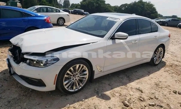 Buy Used BMW 503 White Car in Gali in Abhasia Buy Used BMW 503 White Car in Gali in Abhasia