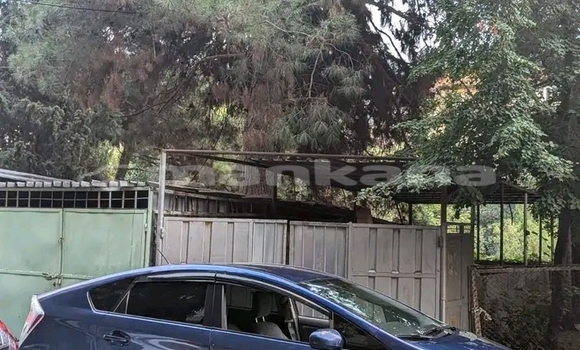 Buy Used Toyota Prius Other Car in Dioknisi in Ajaria Buy Used Toyota Prius Other Car in Dioknisi in Ajaria