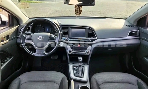 Buy Used Hyundai Elantra White Car in Bihvinta in Abhasia Buy Used Hyundai Elantra White Car in Bihvinta in Abhasia