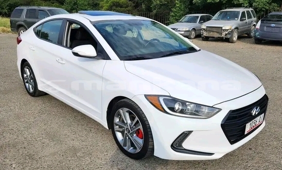Buy Used Hyundai Elantra White Car in Bihvinta in Abhasia Buy Used Hyundai Elantra White Car in Bihvinta in Abhasia