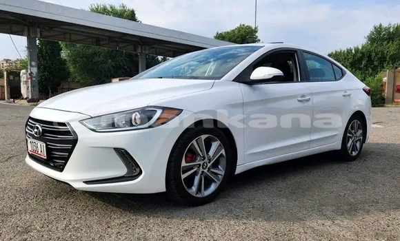Buy Used Hyundai Elantra White Car in Bihvinta in Abhasia Buy Used Hyundai Elantra White Car in Bihvinta in Abhasia