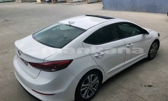 Buy Used Hyundai Elantra White Car in Bihvinta in Abhasia Buy Used Hyundai Elantra White Car in Bihvinta in Abhasia